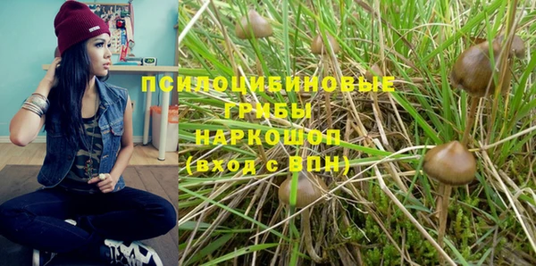 прущая мука Аркадак