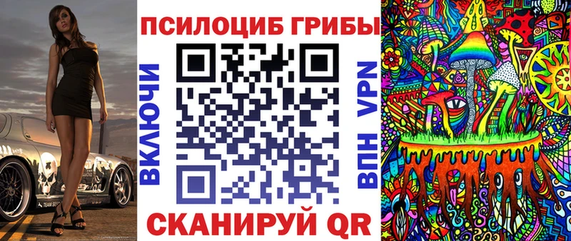 где купить наркотик  Нижние Серги  Псилоцибиновые грибы Magic Shrooms 